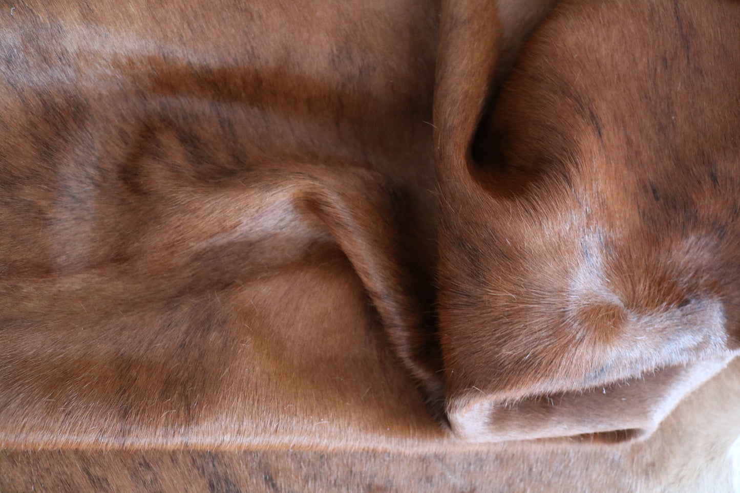 98500 - Cowhide Rug Tapis Peau de Vache BRINDLE - Collection Quebecuir Premium