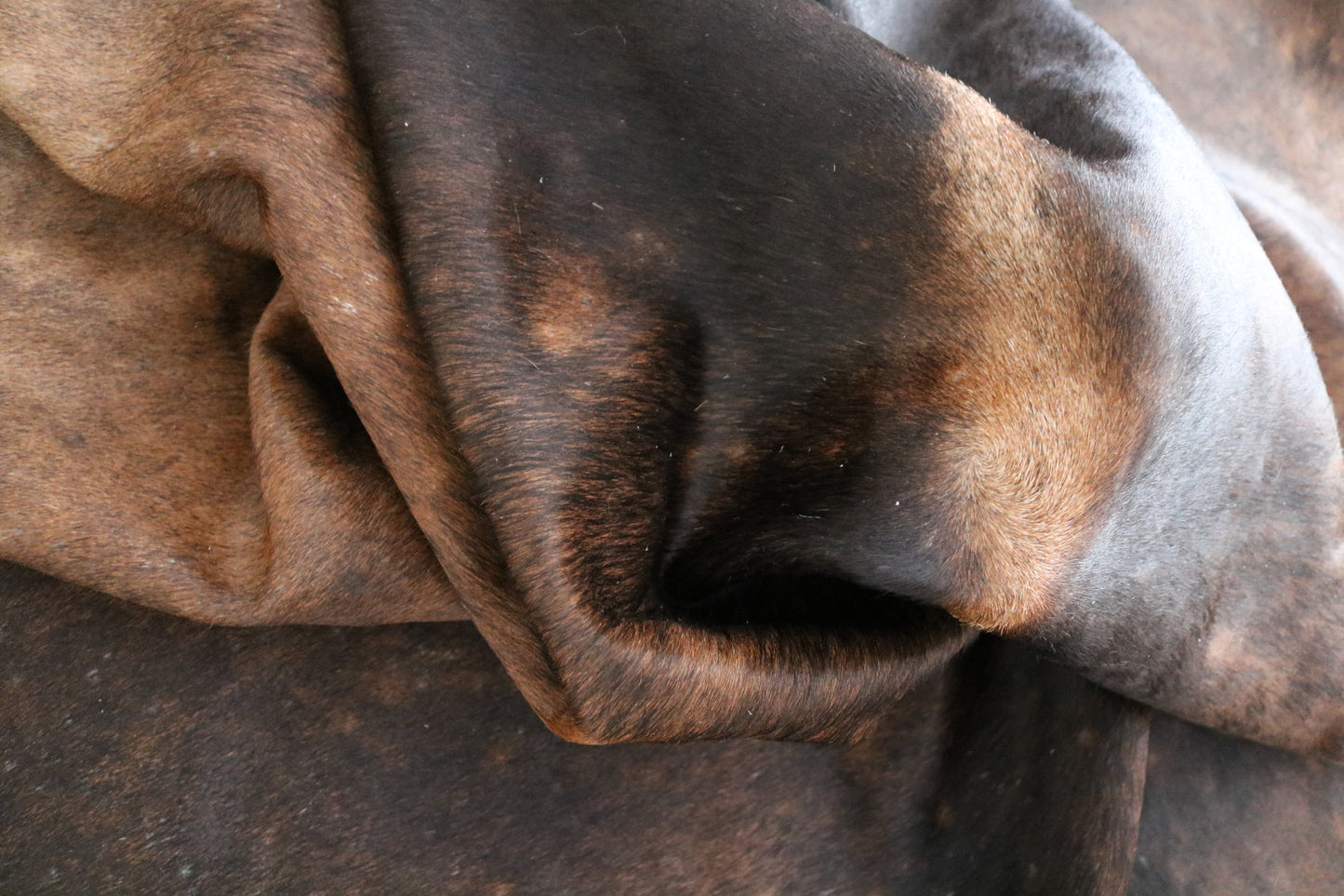 98517 - Cowhide Rug Tapis Peau de Vache - Collection Quebecuir Premium