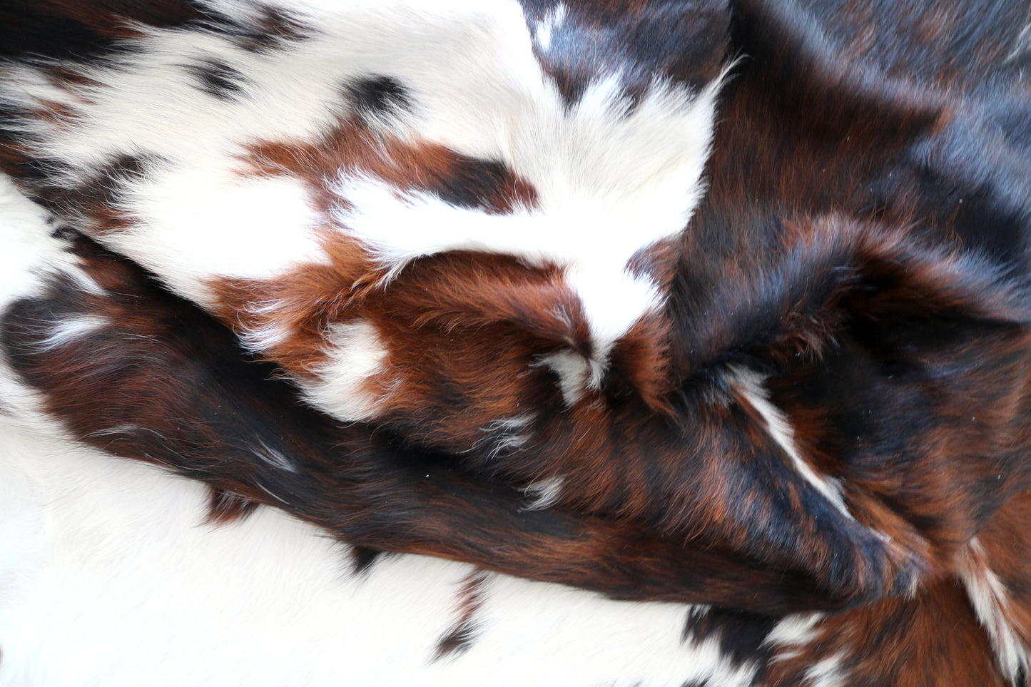 100109 Cowhide Rug TRICOLOR Quebecuir Premium Collection.