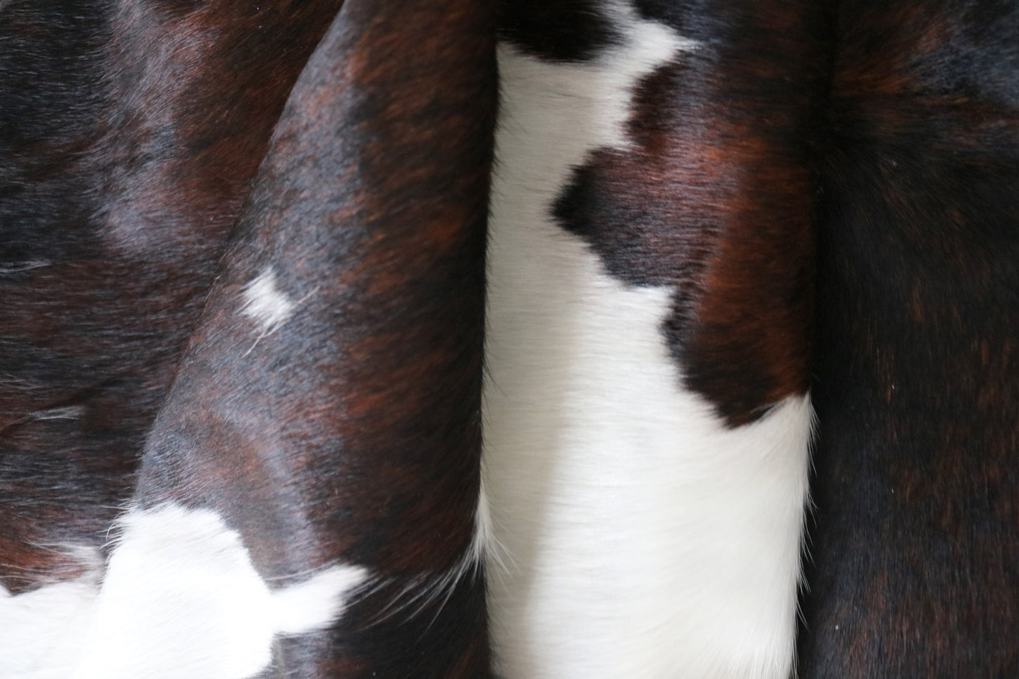 98544 - Cowhide Rug Tapis Peau de Vache SUPER BIG SIZE XXXL TRICOLOR - Collection Quebecuir Premium