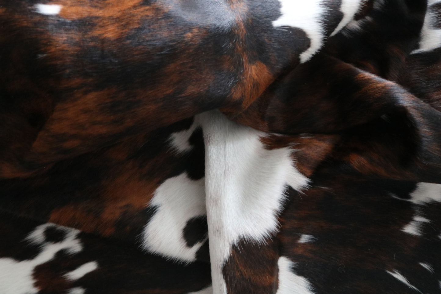 100112 Cowhide rug TRICOLOR Collection Quebecuir Premium SUPER BIG SIZE XXXL