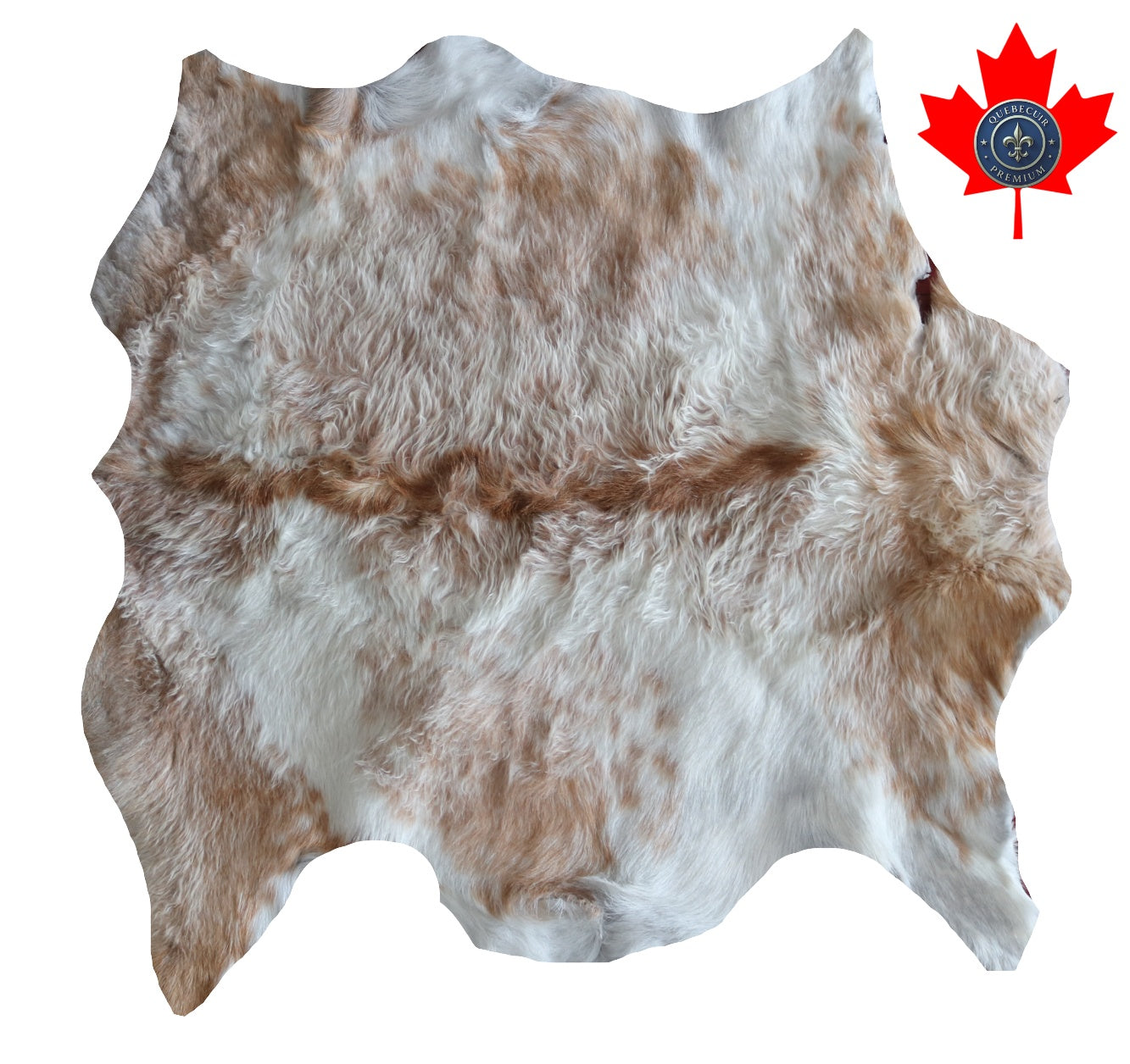 200588 GOAT CHEVRE Collection Quebecuir Premium