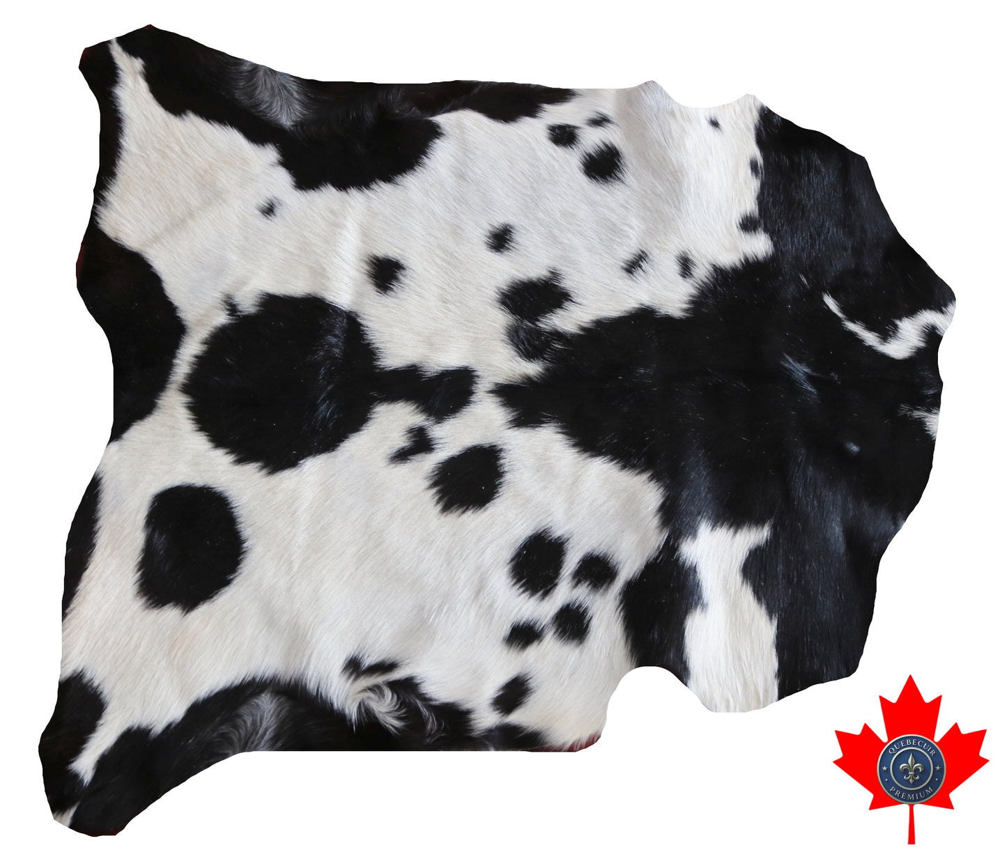 200589 GOAT CHEVRE Collection Quebecuir Premium