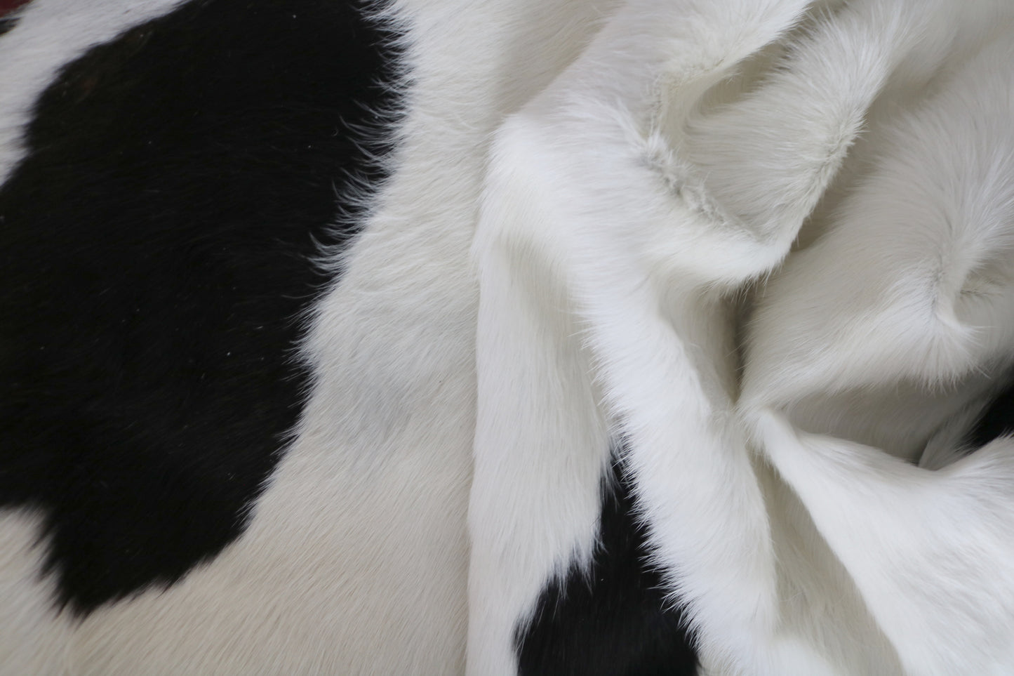 98571 - Cowhide Rug Tapis Peau de Vache BIG SIZE XXL - Collection Quebecuir Premium