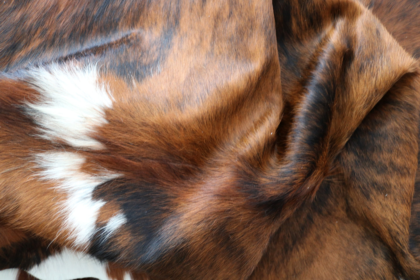 100118 Cowhide rug TRICOLOR Collection Quebecuir Premium