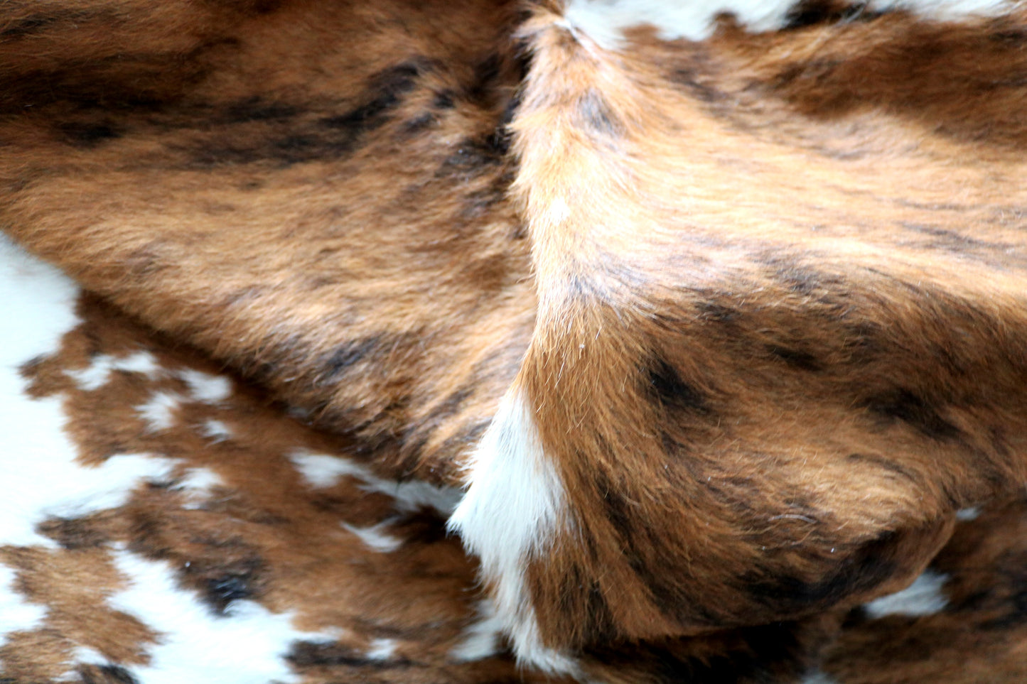 100119 Cowhide rug TRICOLOR Collection Quebecuir Premium