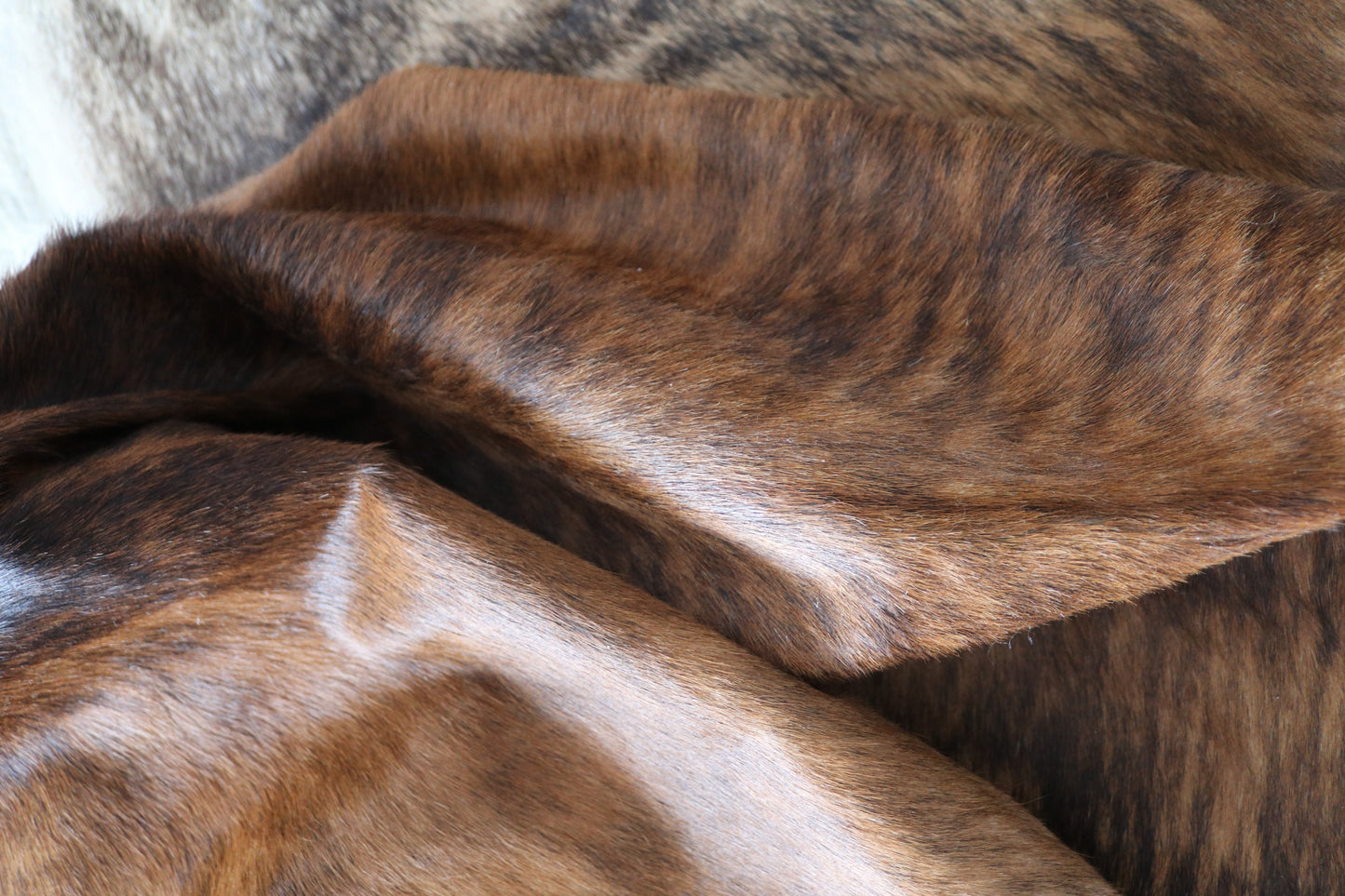 99700 Cowhide rug Collection Quebecuir Premium