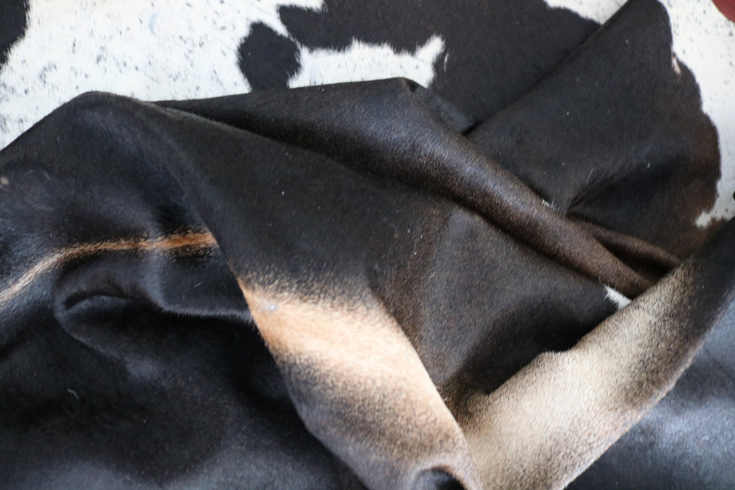 98583 - Cowhide Rug Tapis Peau de Vache BIG SIZE XXL - Collection Quebecuir Premium