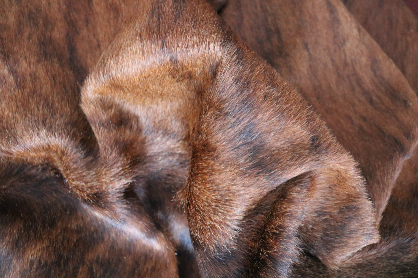 98588 - Cowhide Rug Tapis Peau de Vache - Collection Quebecuir Premium