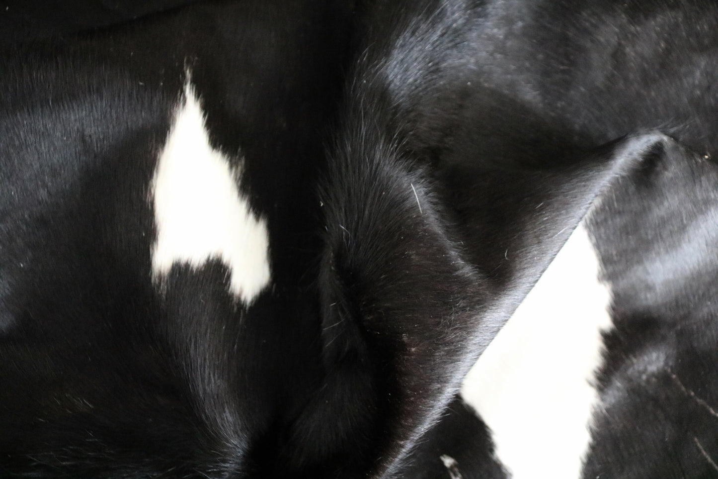 98590- Cowhide Rug Tapis Peau de Vache - Collection Quebecuir Premium