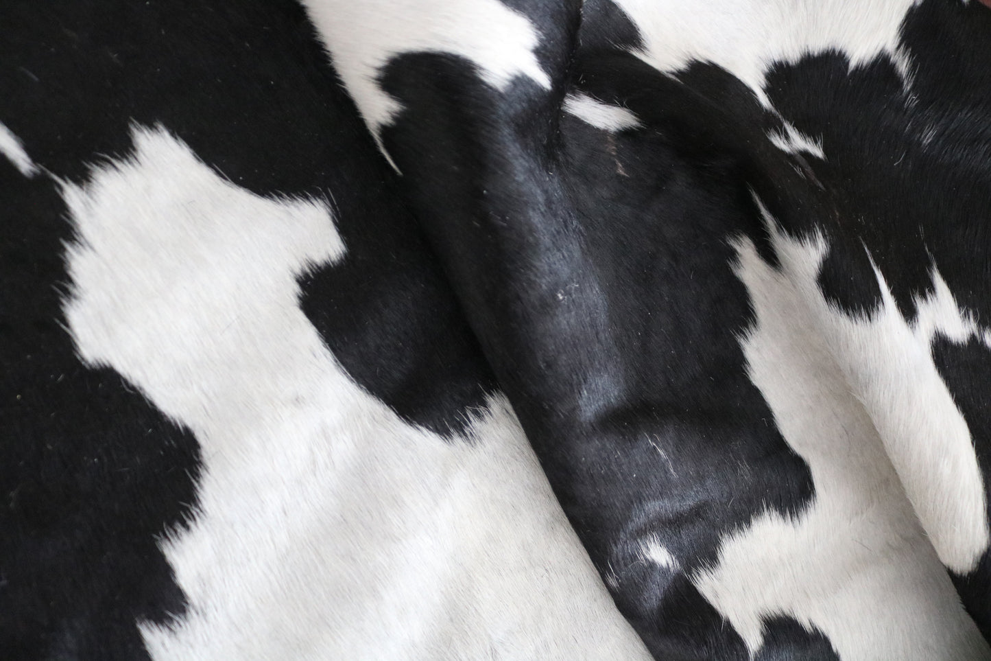 98591- Cowhide Rug Tapis Peau de Vache BIG SIZE XXL - Collection Quebecuir Premium