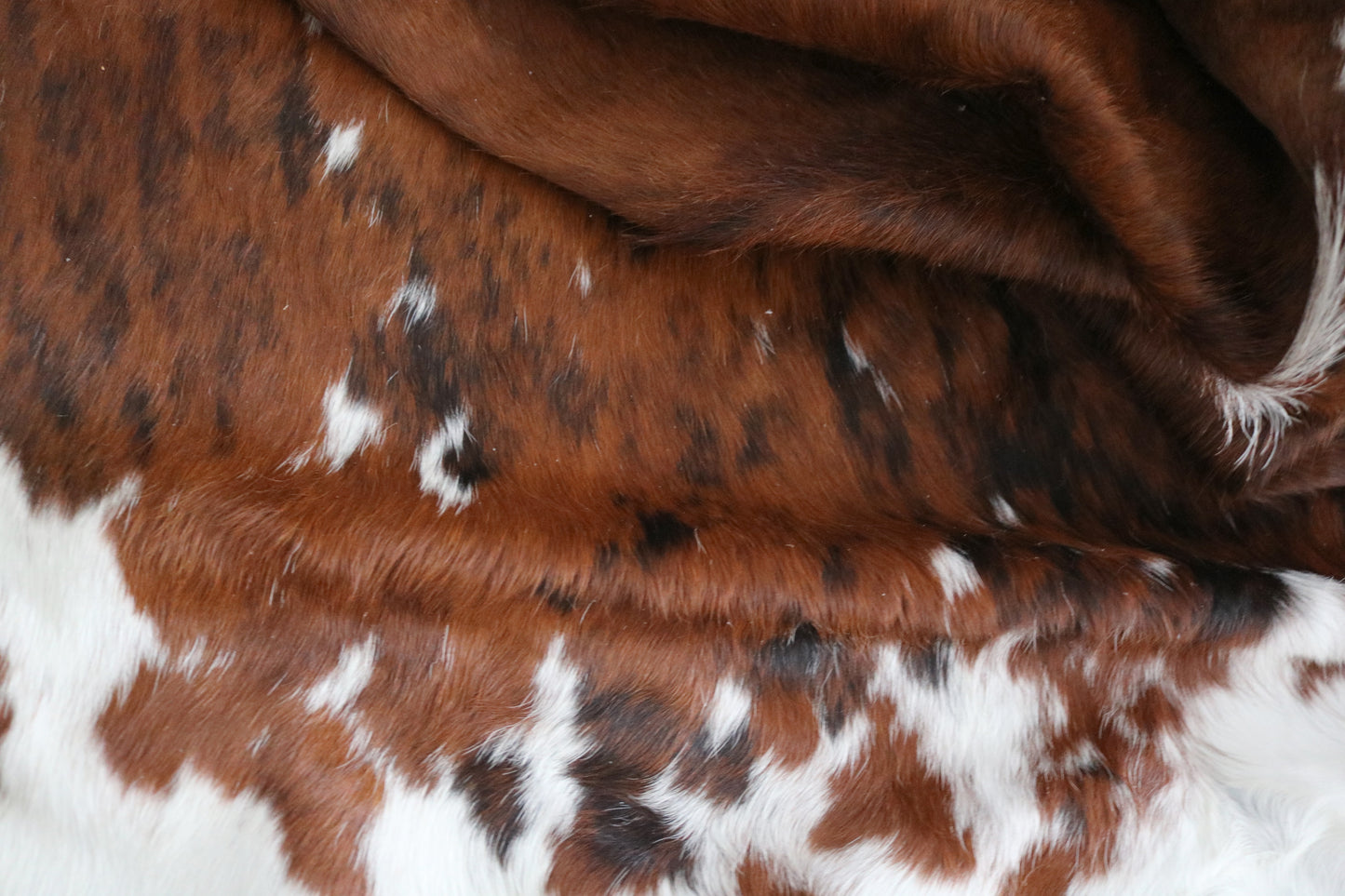 98593 - Cowhide Rug Tapis Peau de Vache SUPER BIG SIZE XXXL - Collection Quebecuir Premium