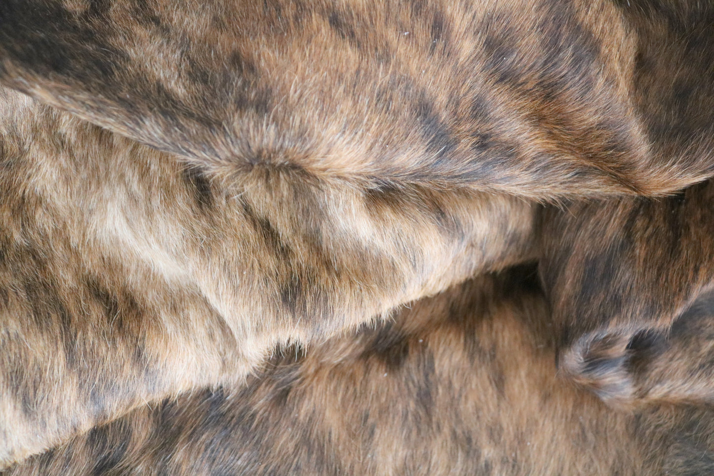 98594 - Cowhide Rug Tapis Peau de Vache BIG SIZE XXL - Collection Quebecuir Premium