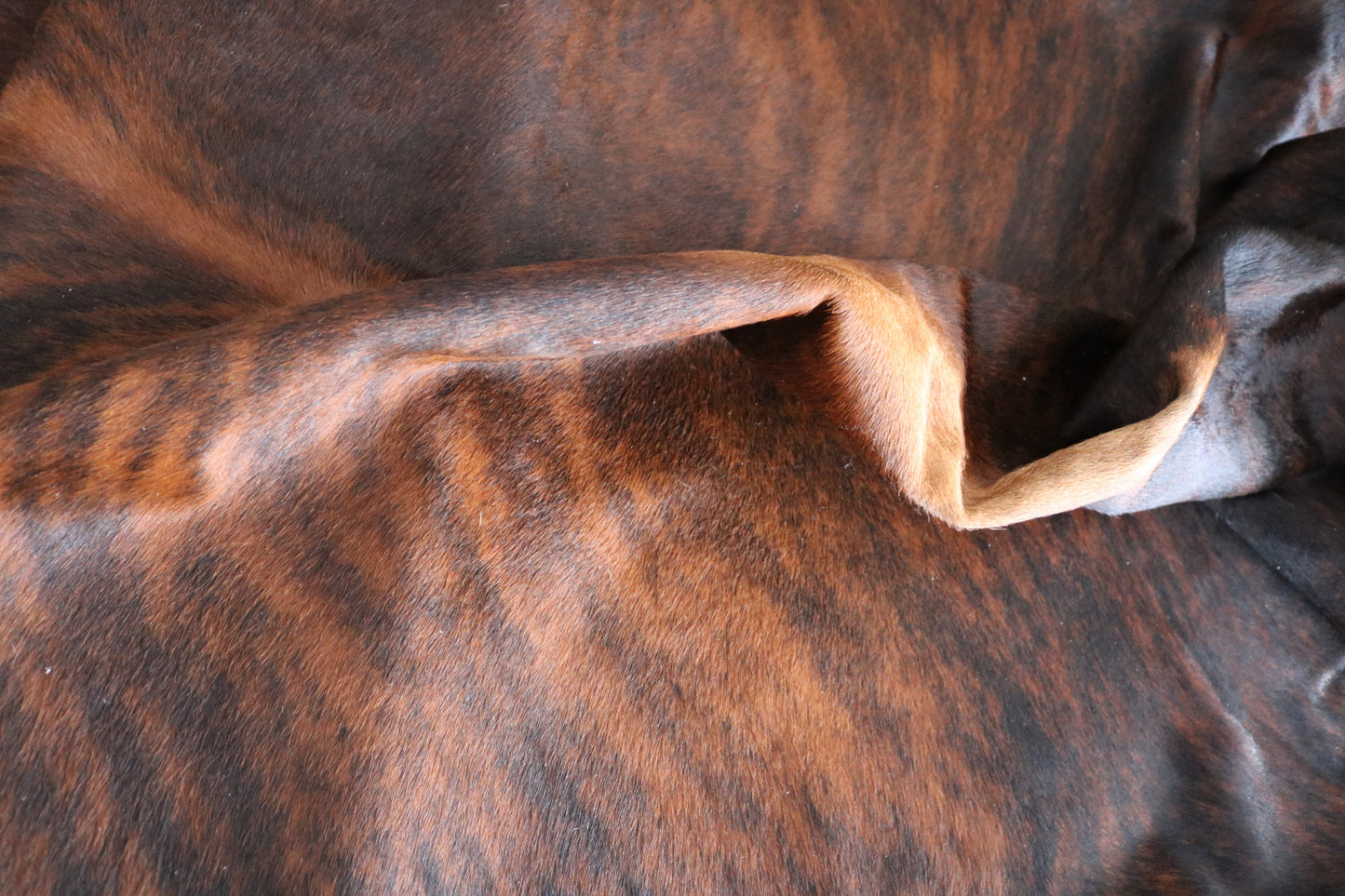 98600 - Cowhide Rug Tapis Peau de Vache SUPER BIG SIZE XXXL - Collection Quebecuir Premium