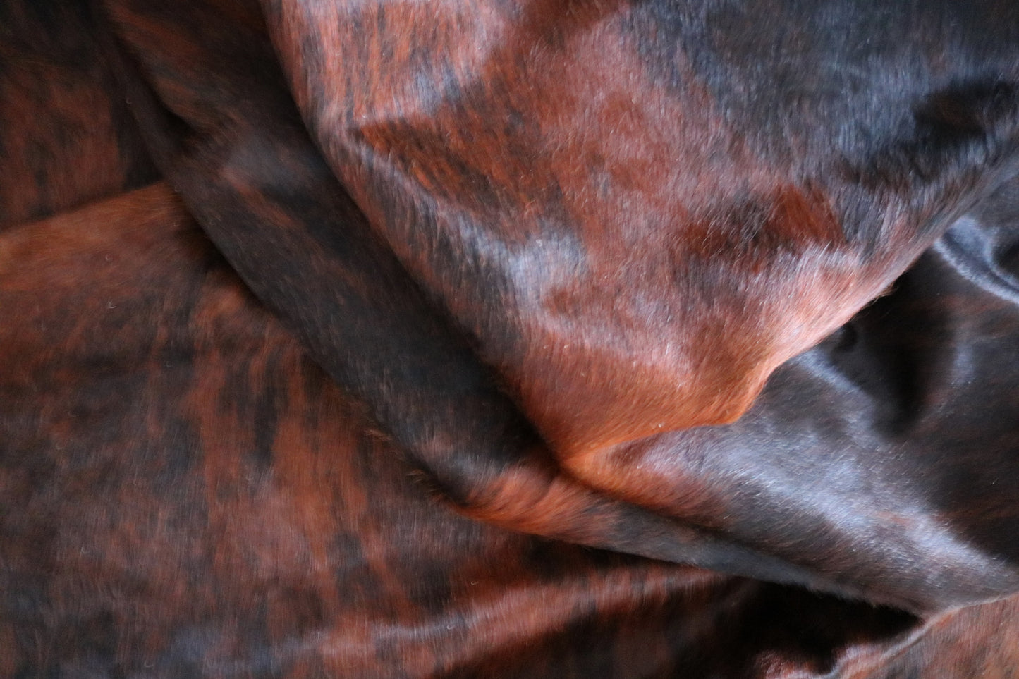 98601 - Cowhide Rug Tapis Peau de Vache SUPER BIG SIZE XXXL - Collection Quebecuir Premium