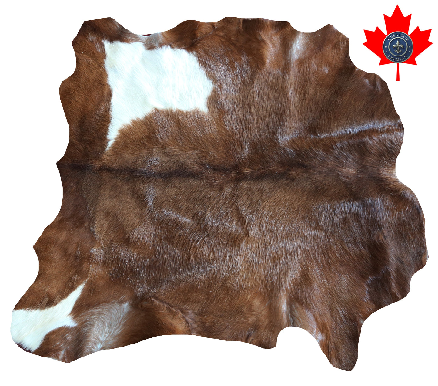 200597 GOAT CHEVRE Collection Quebecuir Premium