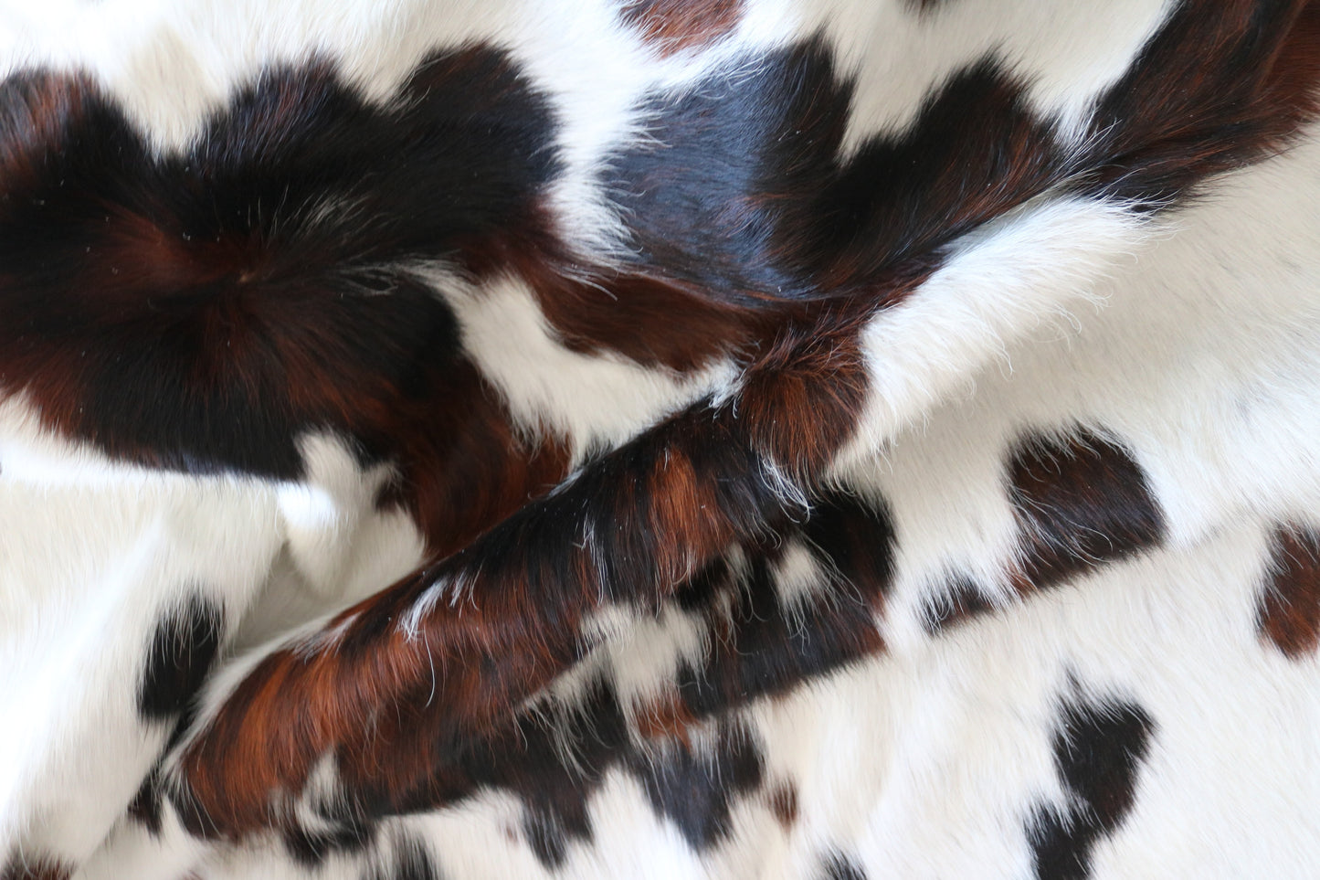 100131 Tricolor Cowhide Rug - Quebecuir Premium Collection