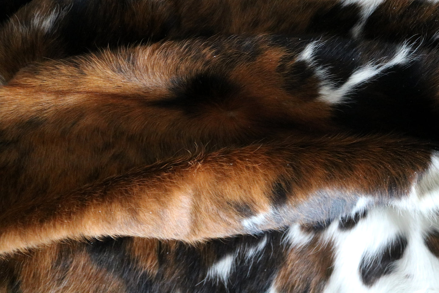 100141- SUPER BIG SIZE XXXL Tricolor Cowhide Rug - Quebecuir Premium Collection