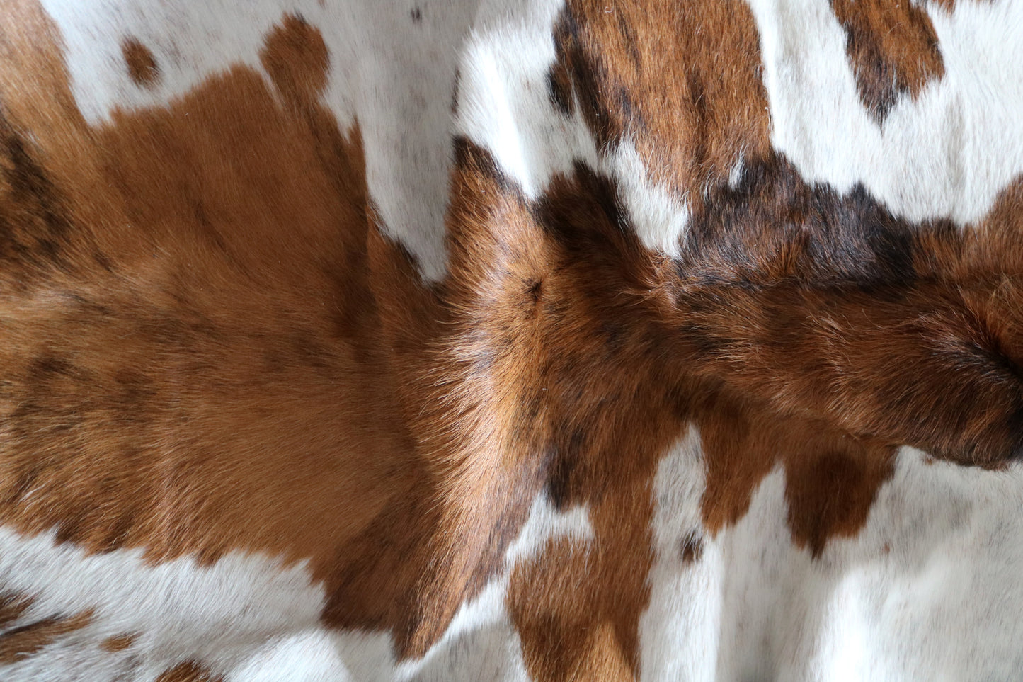 100142- SUPER BIG SIZE XXXL Tricolor Cowhide Rug - Quebecuir Premium Collection