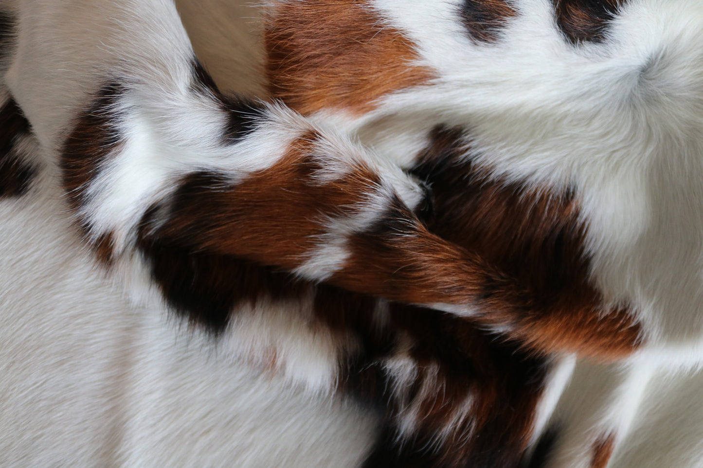 100160- Tricolor Cowhide Rug - Quebecuir Premium Collection