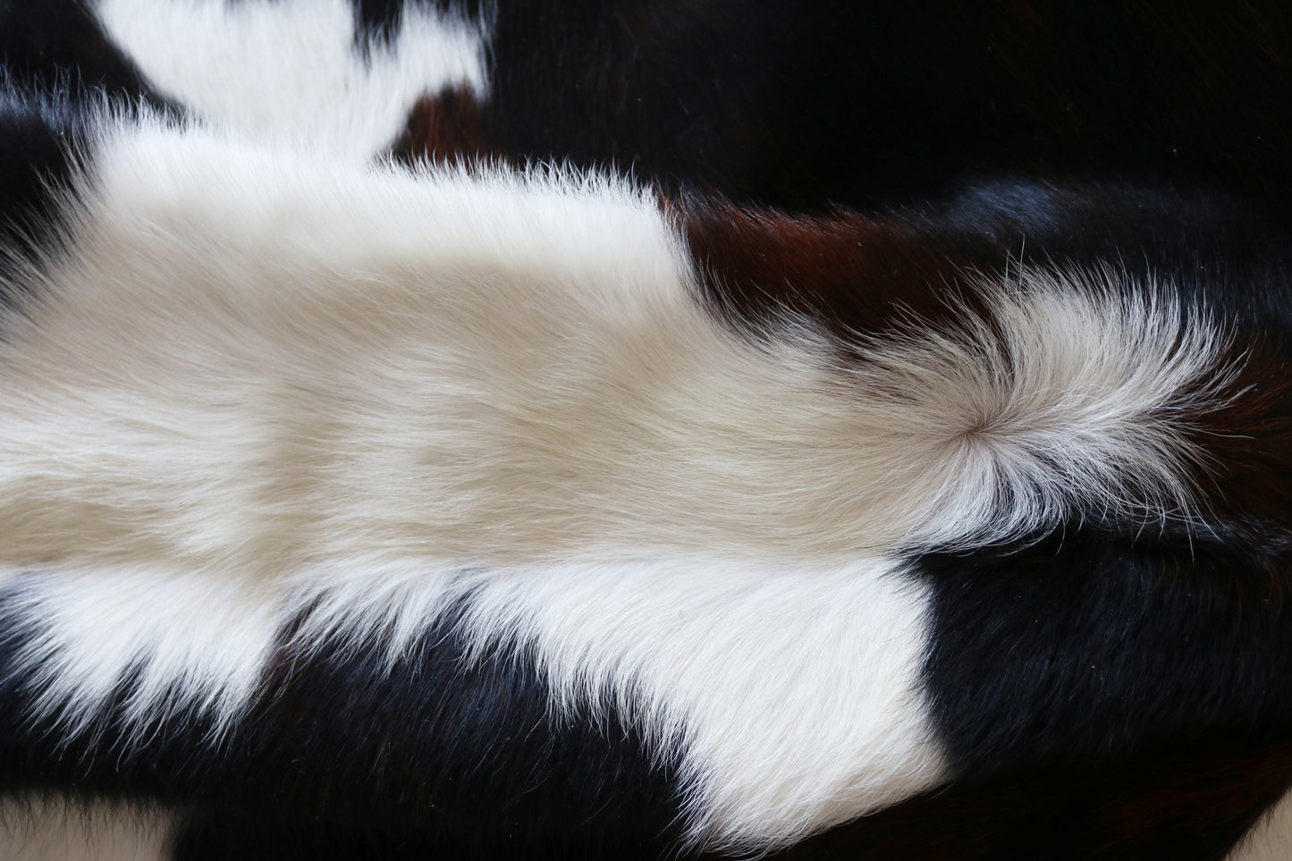 100162- Tricolor Cowhide Rug - Quebecuir Premium Collection