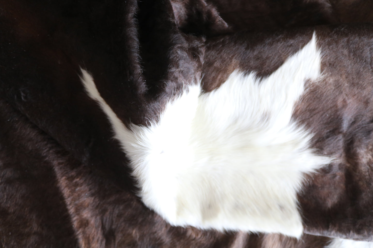 100163- SUPER BIG SIZE XXXL Tricolor Cowhide Rug - Quebecuir Premium Collection