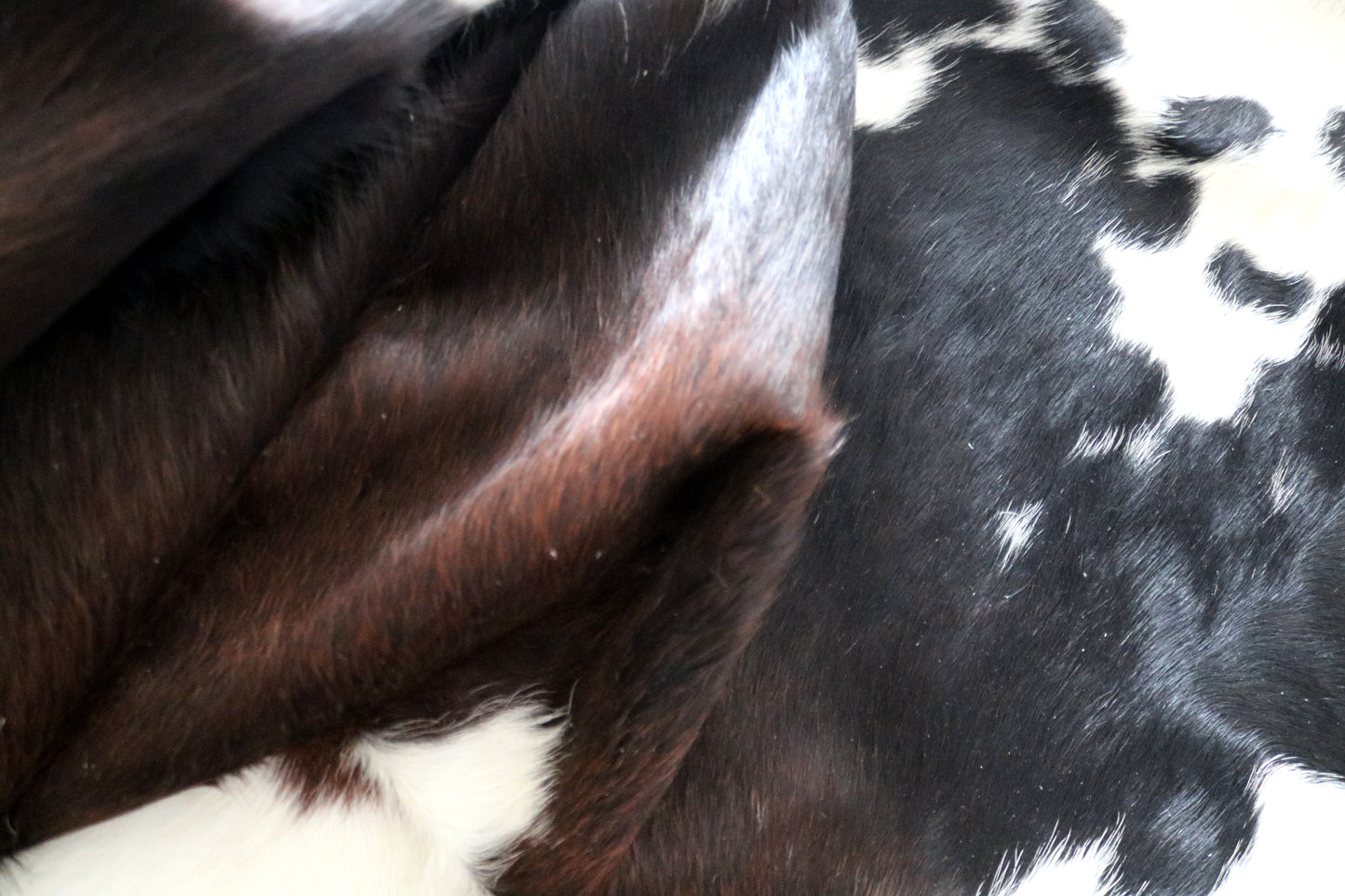 100166- SUPER BIG SIZE XXXL Tricolor Cowhide Rug - Quebecuir Premium Collection
