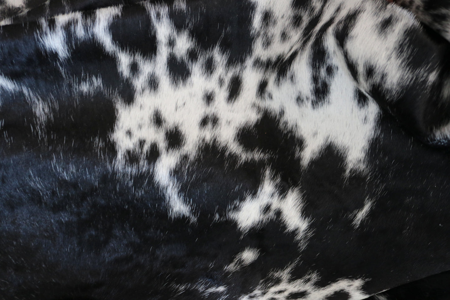 100169- SUPER BIG SIZE XXXL Cowhide Rug - Quebecuir Premium Collection