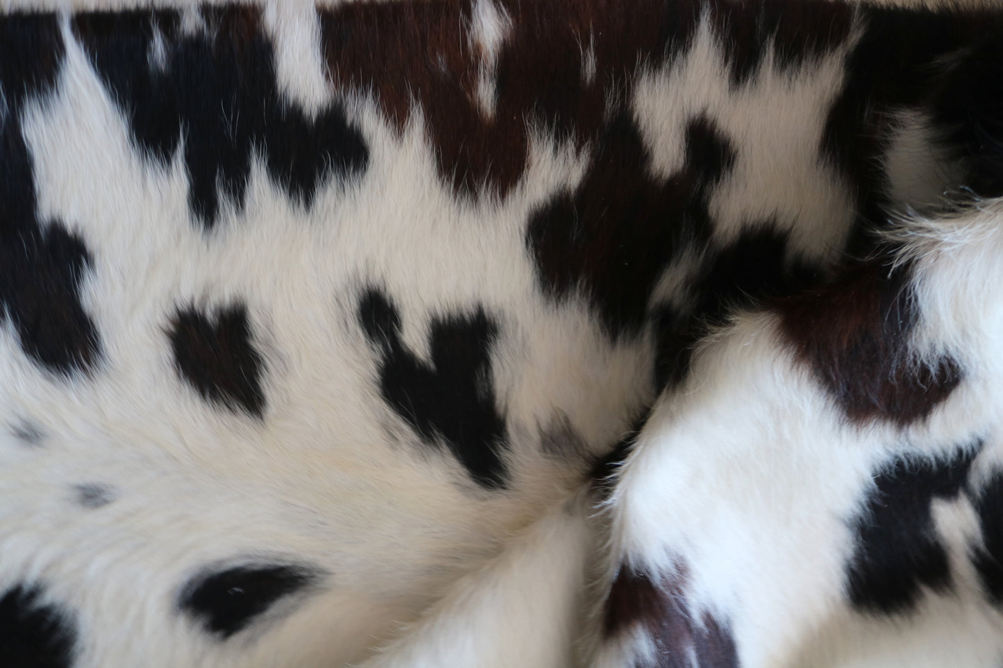 100170- Tricolor Cowhide Rug - Quebecuir Premium Collection