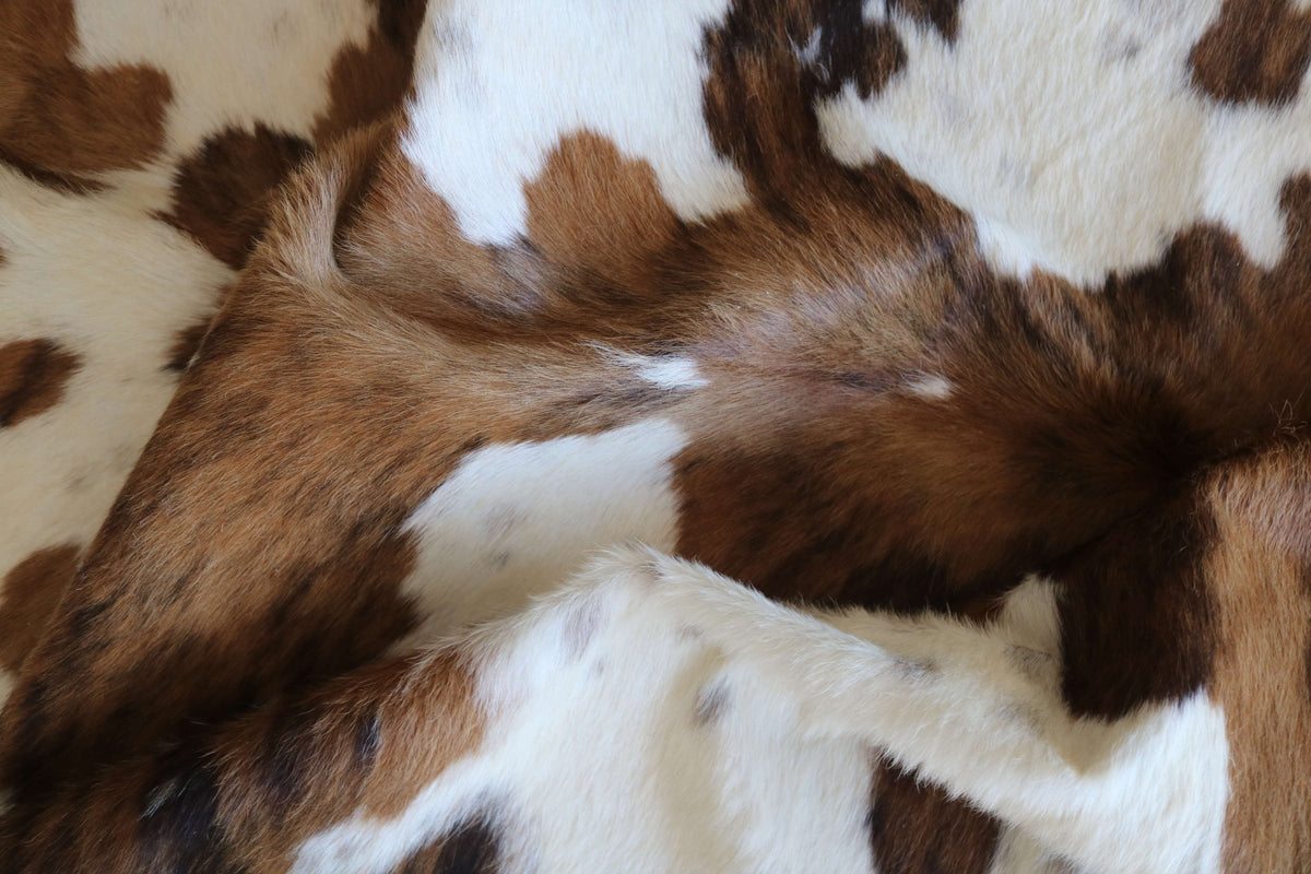 200698- SIZE XXL TRICOLOR Cowhide Rug - Quebecuir Premium Collection