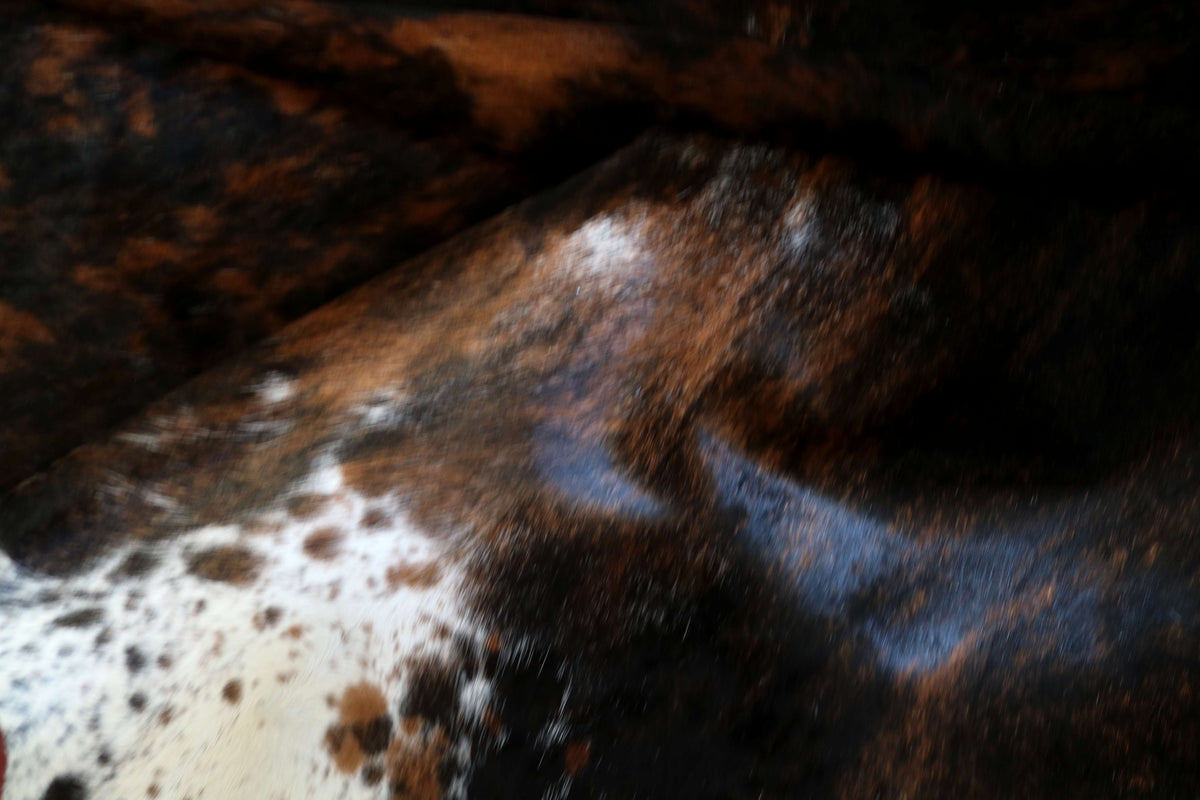 100363- SIZE XXL TRICOLOR Cowhide Rug - Quebecuir Premium Collection