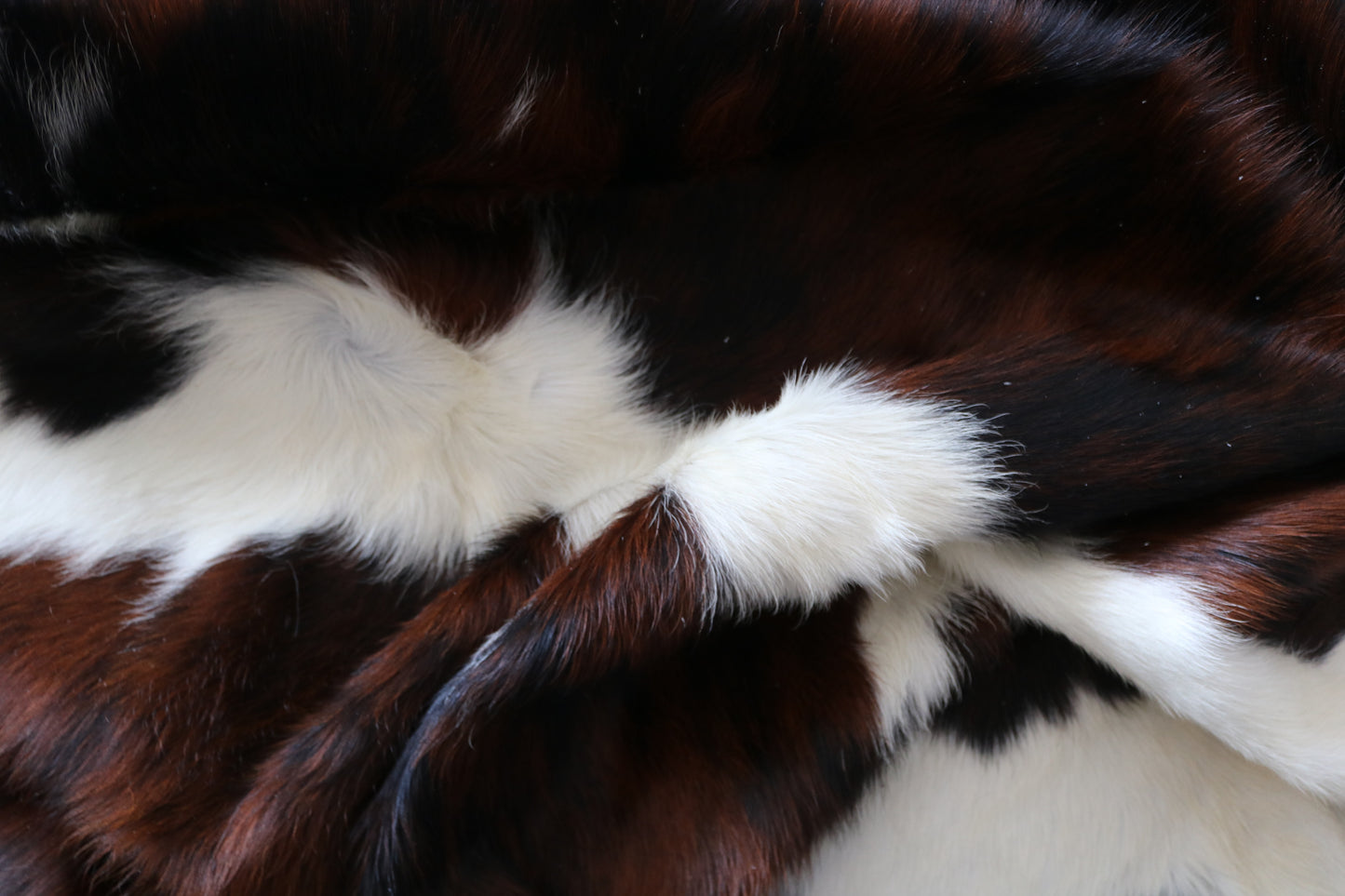 100176 Tricolor Cowhide Rug - Quebecuir Premium Collection