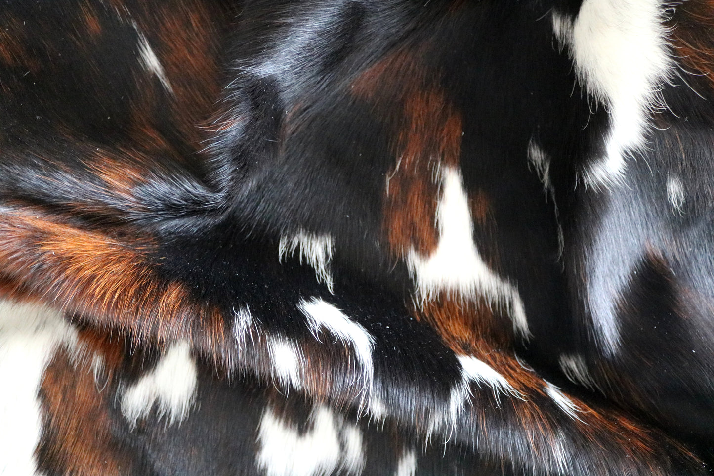 200601 Tricolor Cowhide Rug - Quebecuir Premium Collection