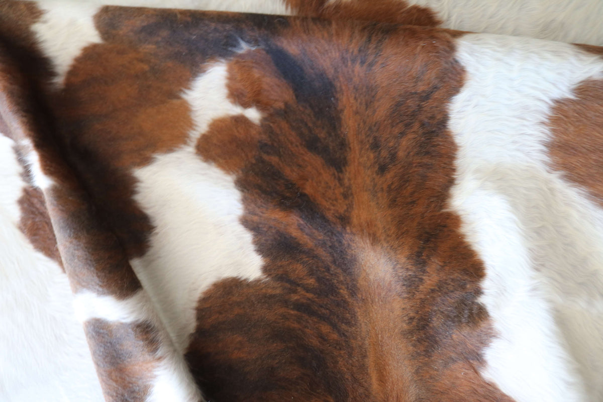 100367- SUPER BIG SIZE XXXL TRICOLOR Cowhide Rug - Quebecuir Premium Collection