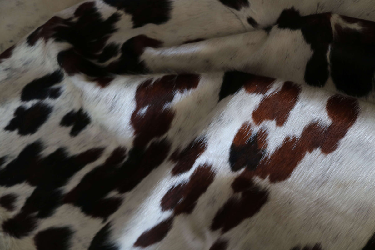 100369- SUPER BIG SIZE XXXL TRICOLOR Cowhide Rug - Quebecuir Premium Collection