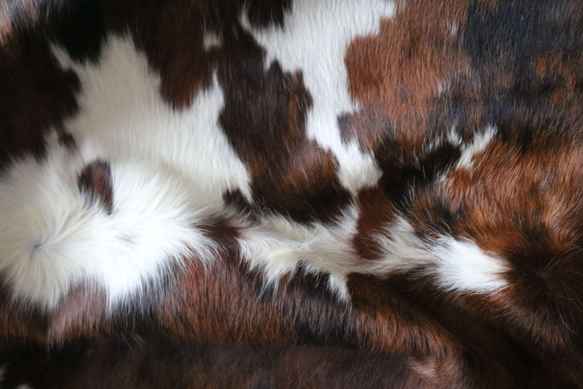100370- SUPER BIG SIZE XXXL TRICOLOR Cowhide Rug - Quebecuir Premium Collection