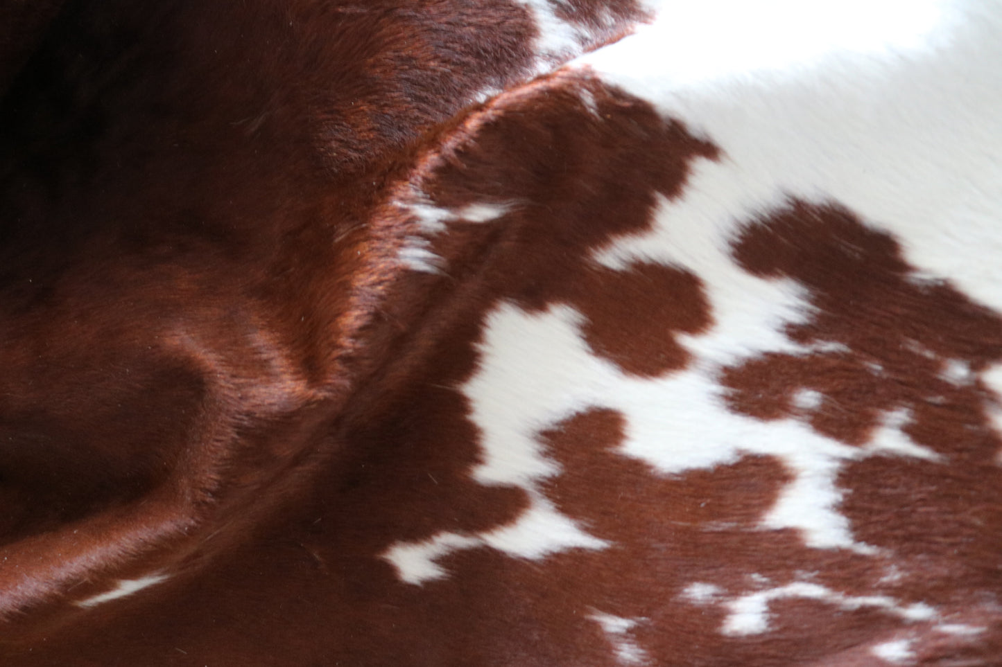 100197 BROWN & WHITE Cowhide Rug - Quebecuir Premium Collection
