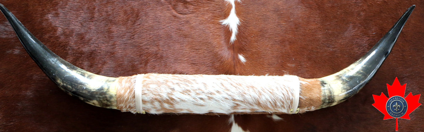 100198 Horns Cornes Collection Quebecuir Premium