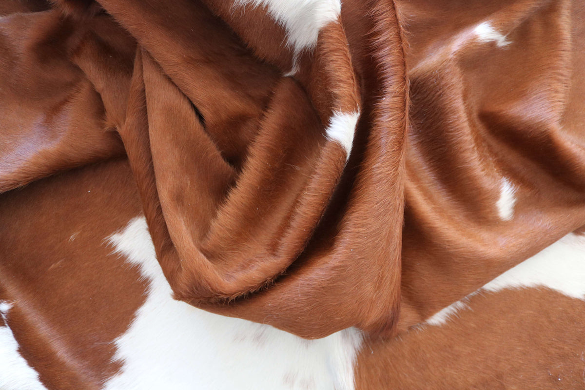 100378- SUPER BIG SIZE XXXL BROWN & WHITE Cowhide Rug - Quebecuir Premium Collection