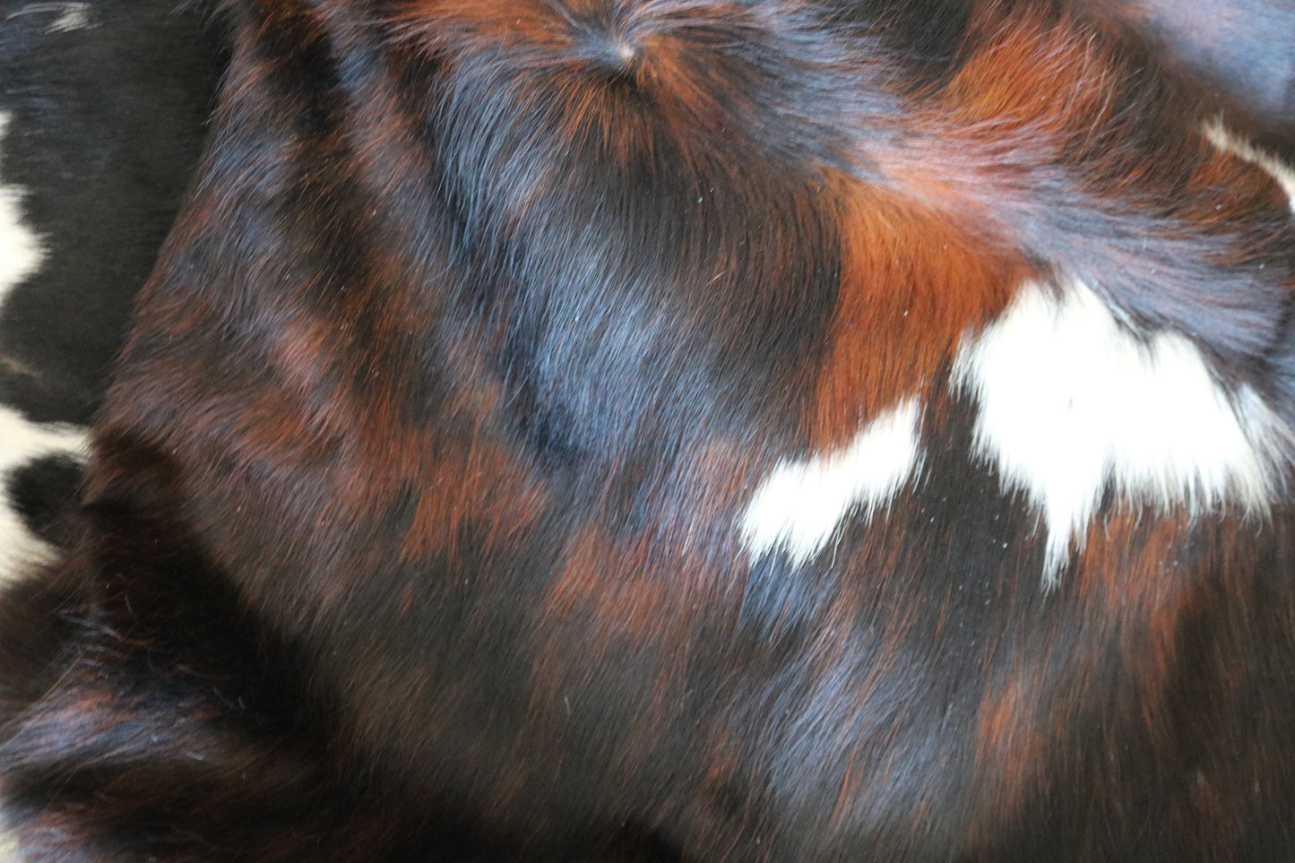 100204 Cowhide Rug - Quebecuir Premium Collection