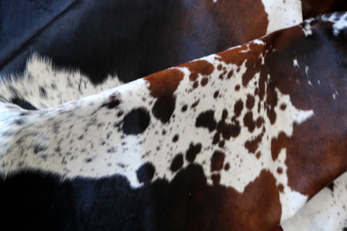 100206 TRICOLOR Cowhide Rug - Quebecuir Premium Collection