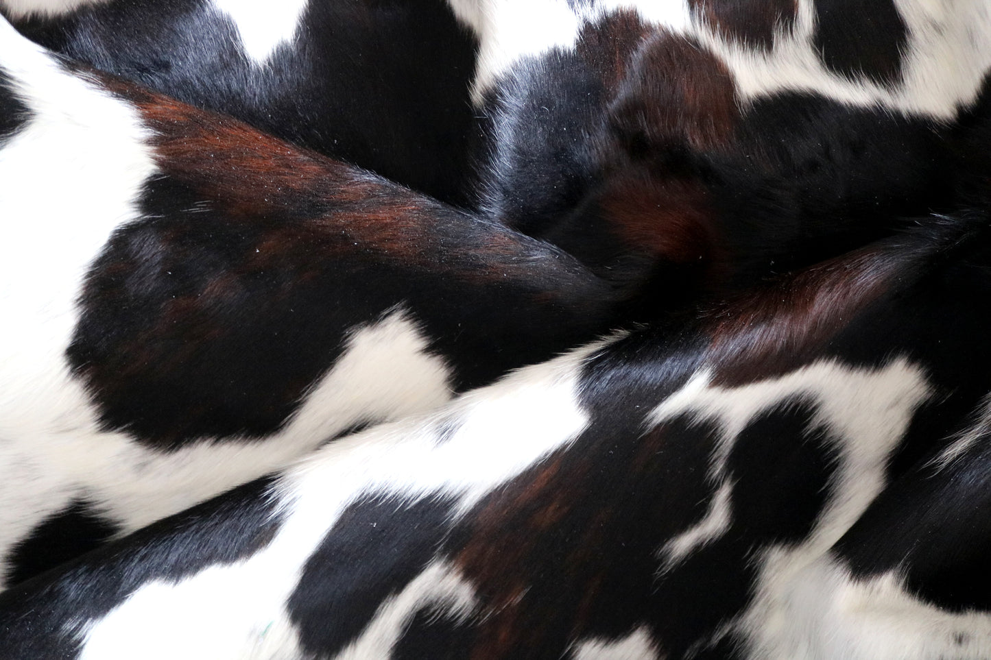 100209 TRICOLOR Cowhide Rug - Quebecuir Premium Collection