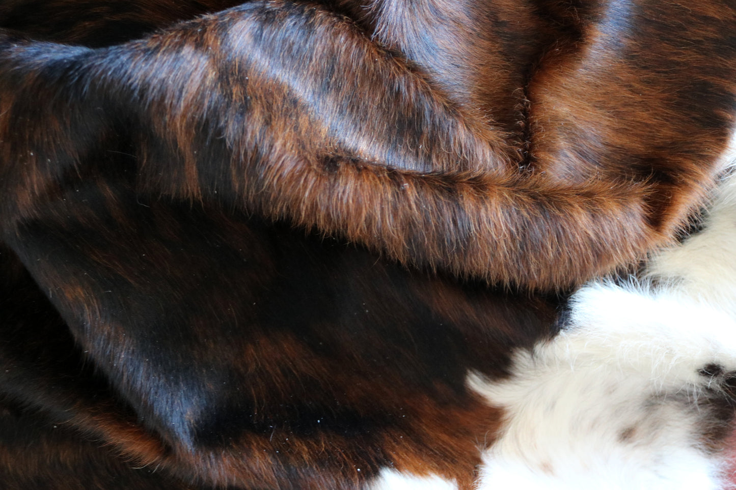 100211 TRICOLOR Cowhide Rug - Quebecuir Premium Collection