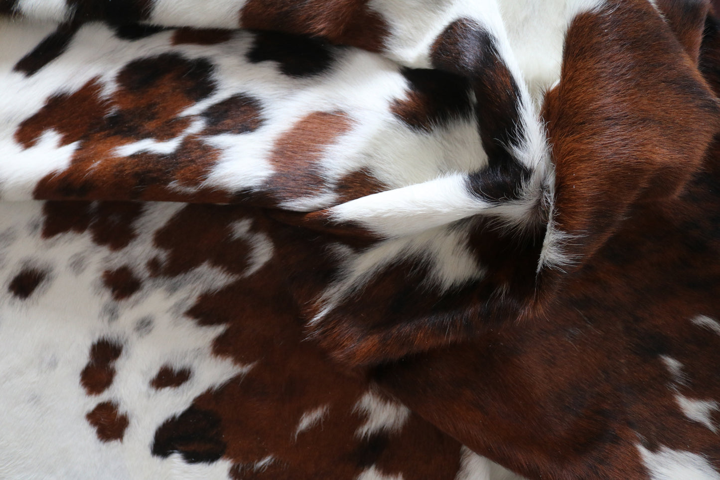 100218- SUPER BIG SIZE XXXL TRICOLOR Cowhide Rug - Quebecuir Premium Collection
