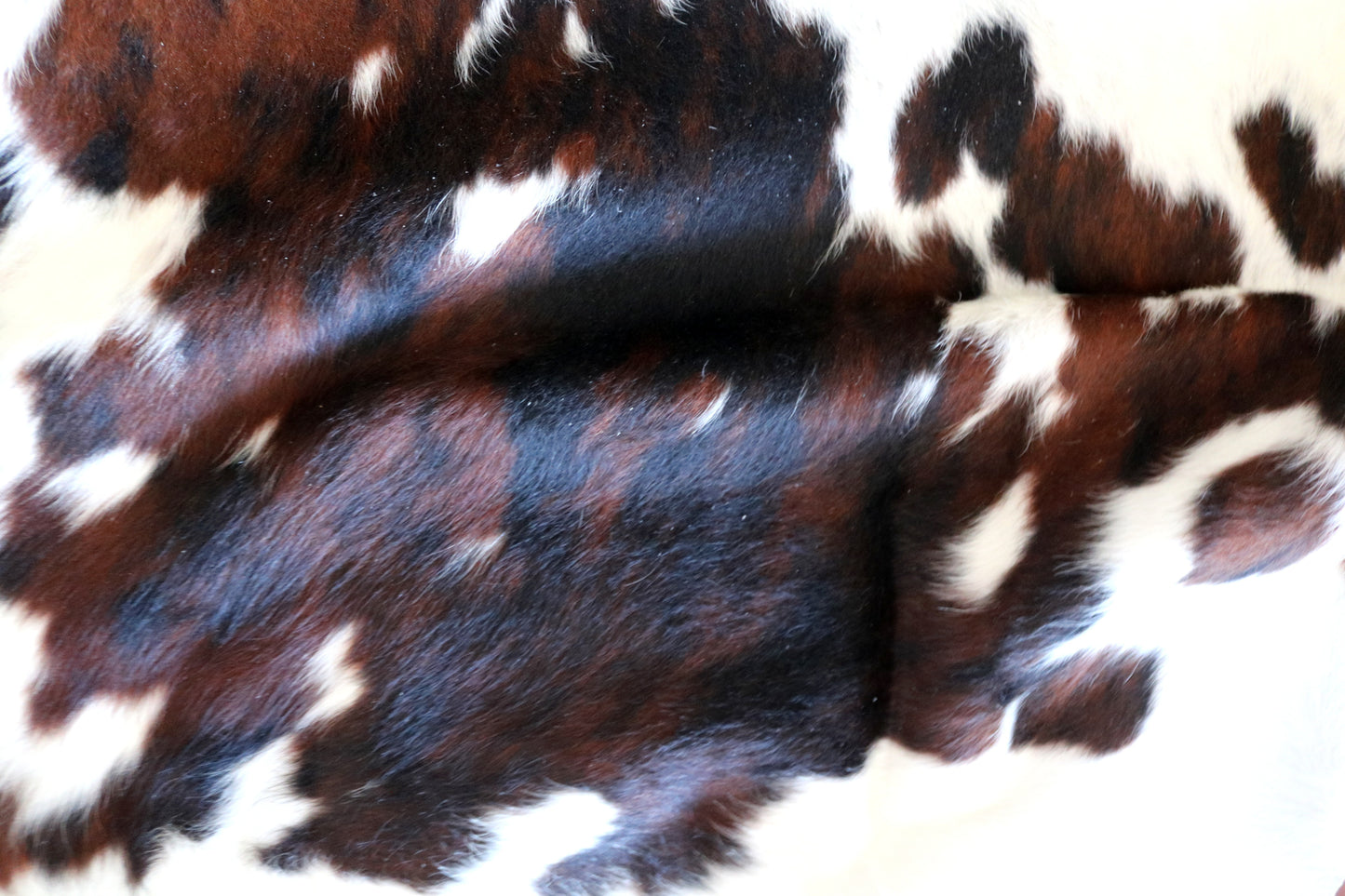 100221- SUPER BIG SIZE XXXL TRICOLOR Cowhide Rug - Quebecuir Premium Collection