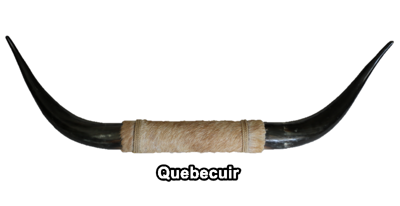 98382 Horns Cornes Collection Quebecuir Premium