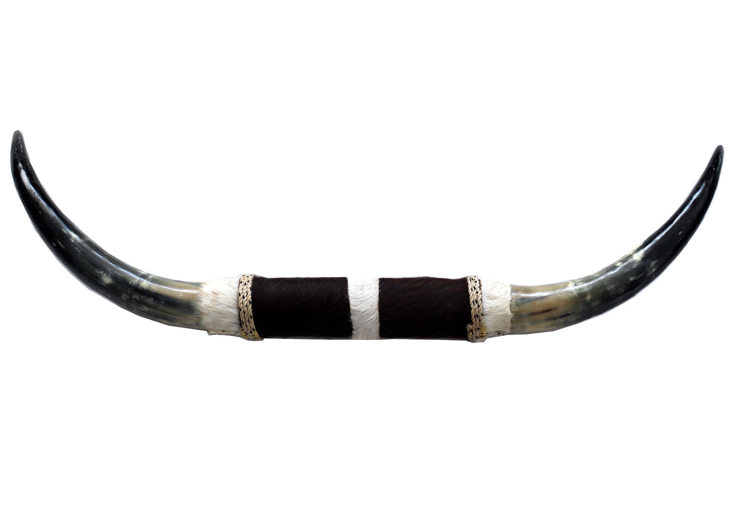 98381 Horns Cornes Collection Quebecuir Premium