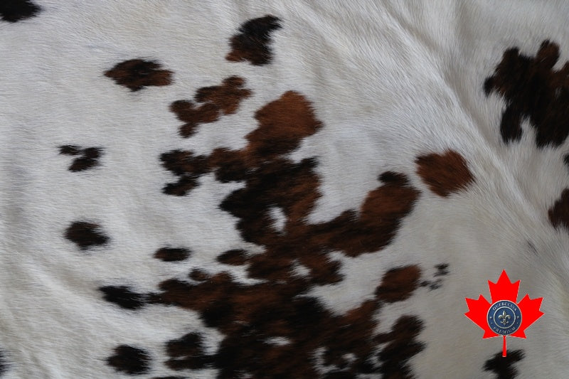 100064 - BIG SIZE Cowhide Rug TRICOLOR XXL - Quebecuir Premium Collection