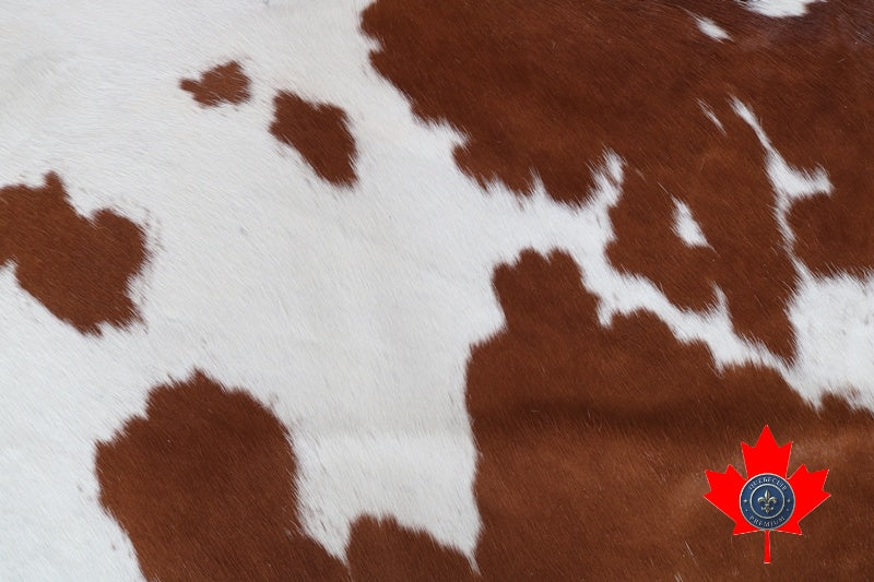 100066 Brown and White Cowhide Rug. Quebecuir Premium Collection