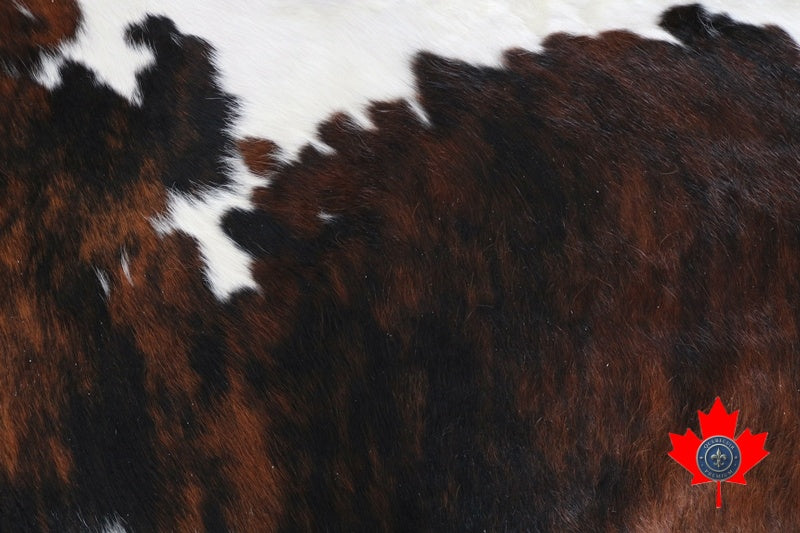 100081 Cowhide Rug Tricolor Tapis peau de vache . Quebecuir Premium Collection.